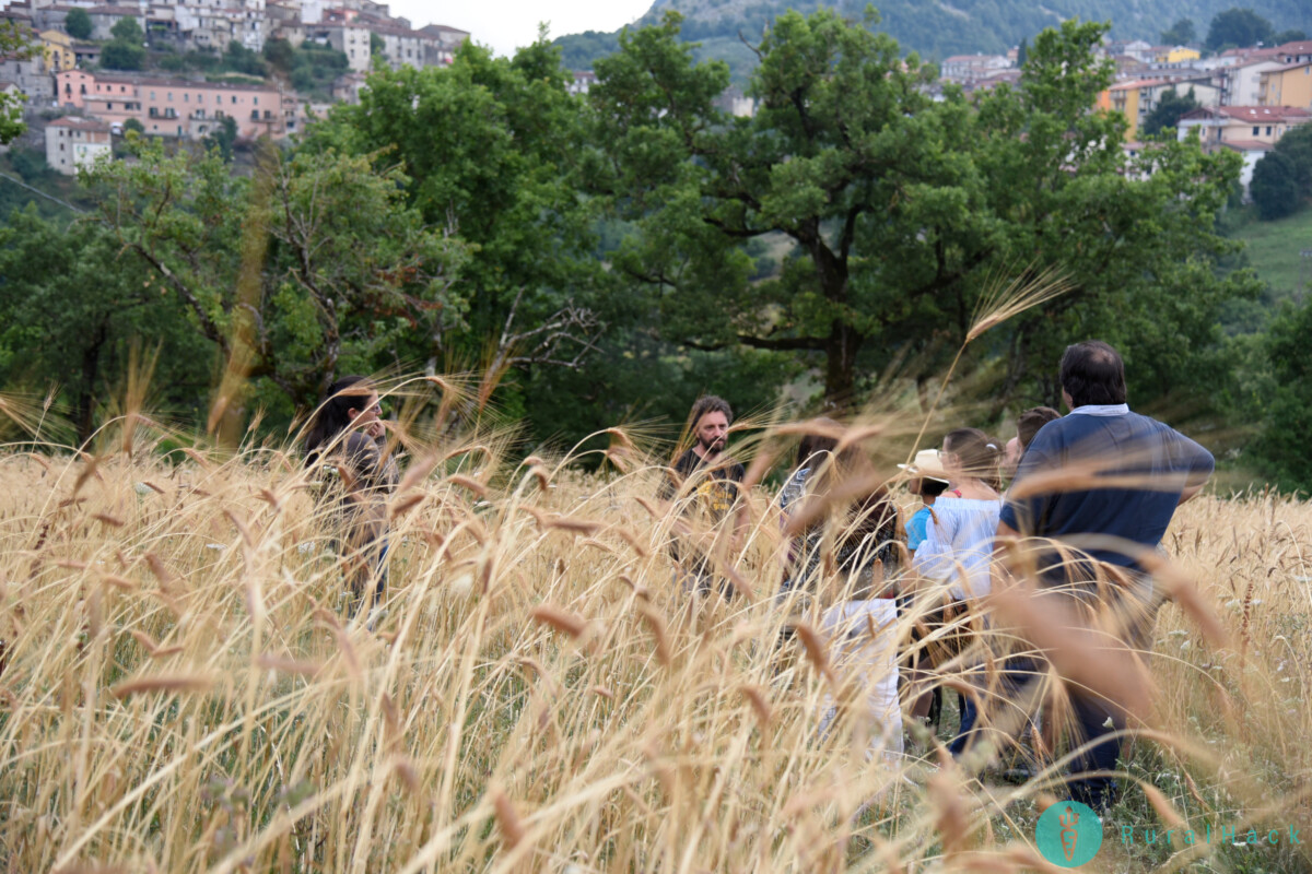 CampdiGrano_Comunità