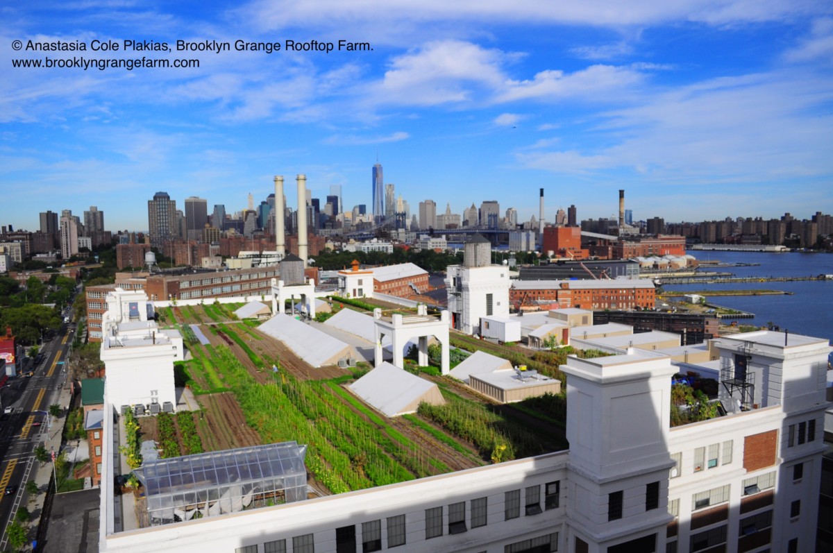Brooklyn_Agritech