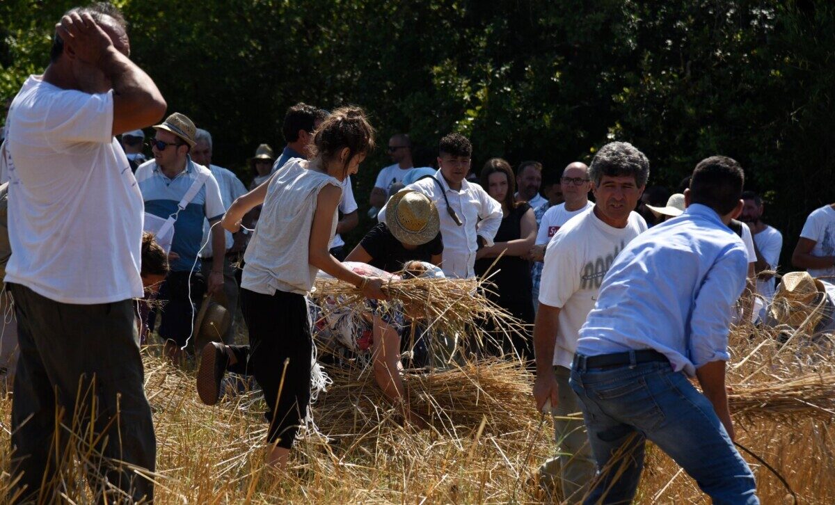 Challenge_RuralHack_Foodsystem5.0