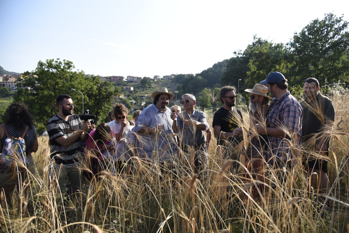 Comunità