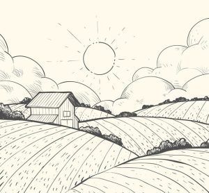 Farm to Fork