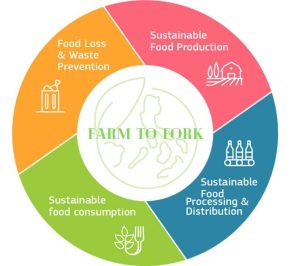Farm to Fork - Rural Hack