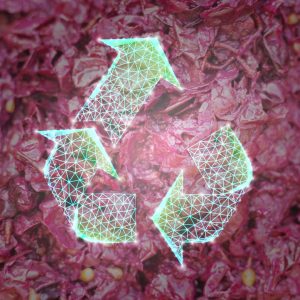 Upcycling sottoprodotti uva 
