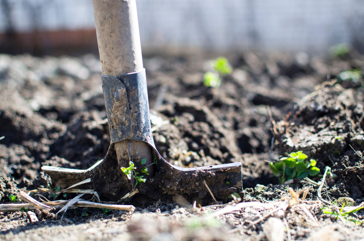 community supported agriculture