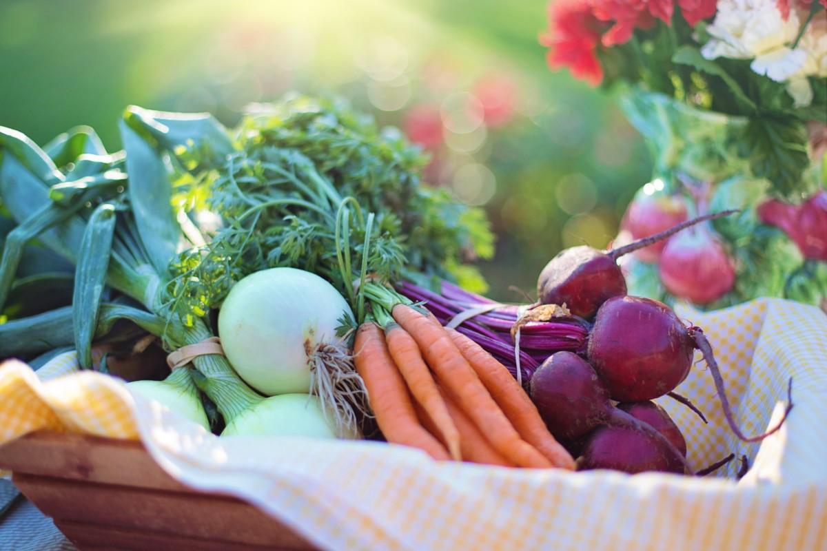 community supported agriculture