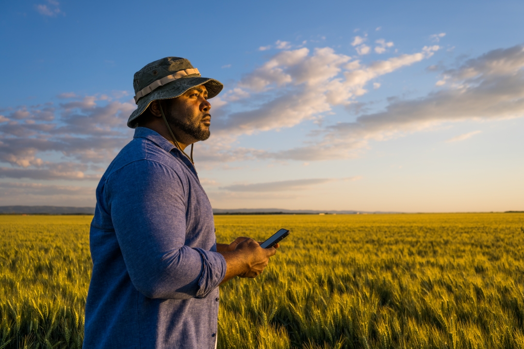 Digital Farming in Africa: Climate Data and Co-Creation