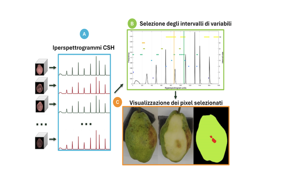 image 13 Cimice asiatica, ecco la soluzione per visualizzare i danni sui frutti