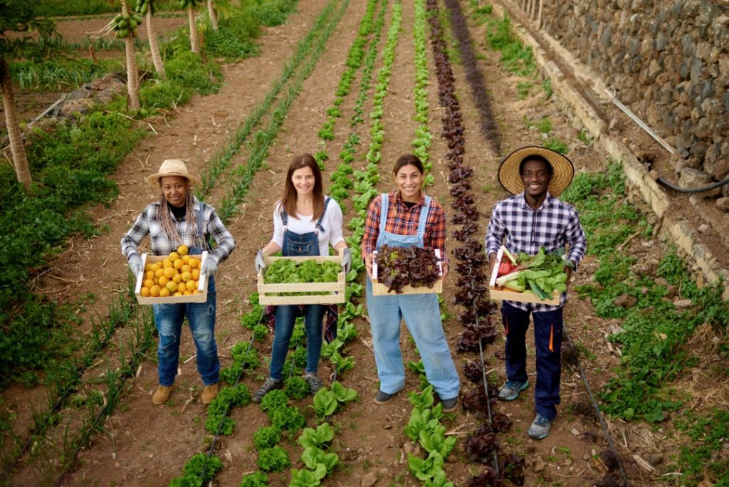 multiracial gardening people holding wooden box of 2025 01 09 12 15 09 utc Politiche alimentari: idee per un’agenda italiana, europea, globale