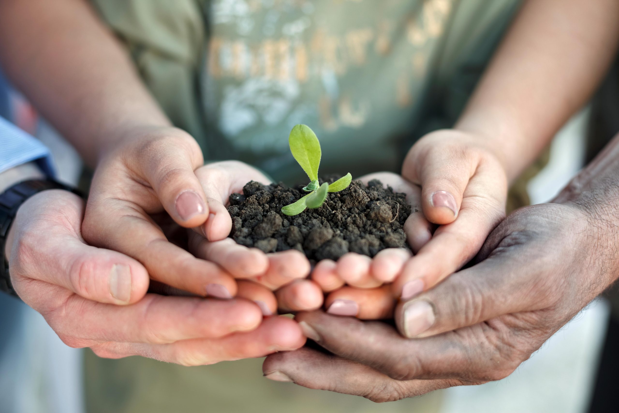 Il 5 ottobre sarà presente al Millennials Fest 2017 Siena Food Innovation anche Rural Hack, con il direttore scientifico Alex Giordano, per raccontare l’importanza dell’innovazione e delle tecnologie abilitanti nel settore agrifood.