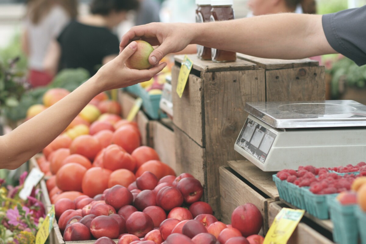 Foodsystem_lidl
