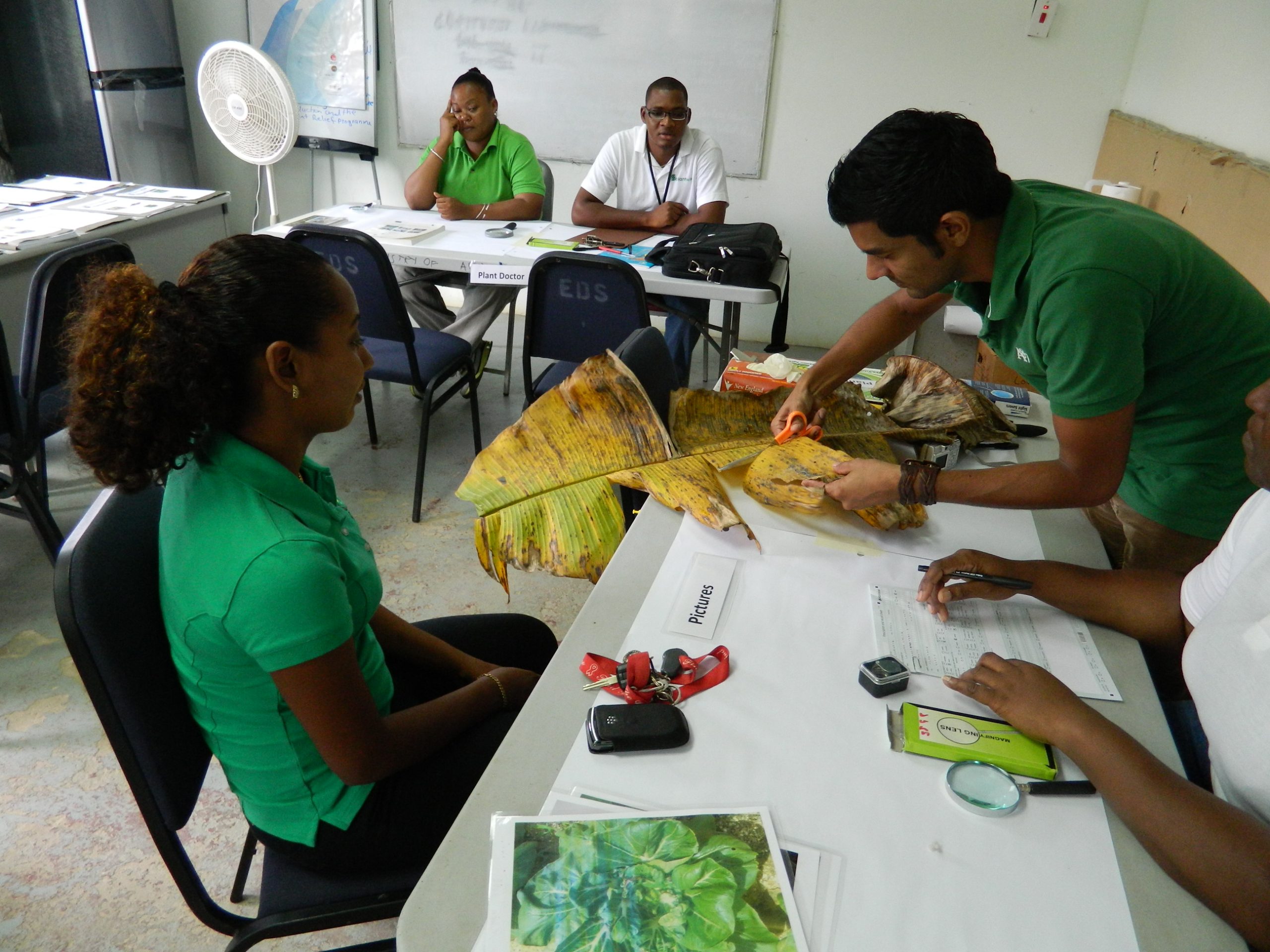 plantwise open data