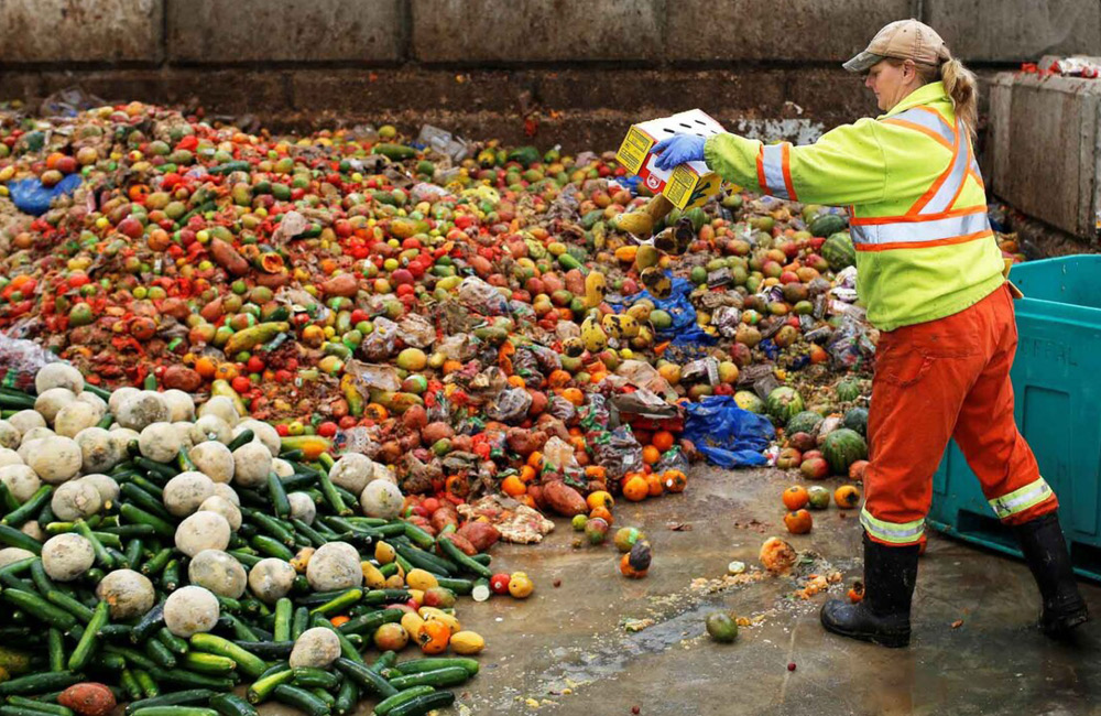 Spreco alimentare