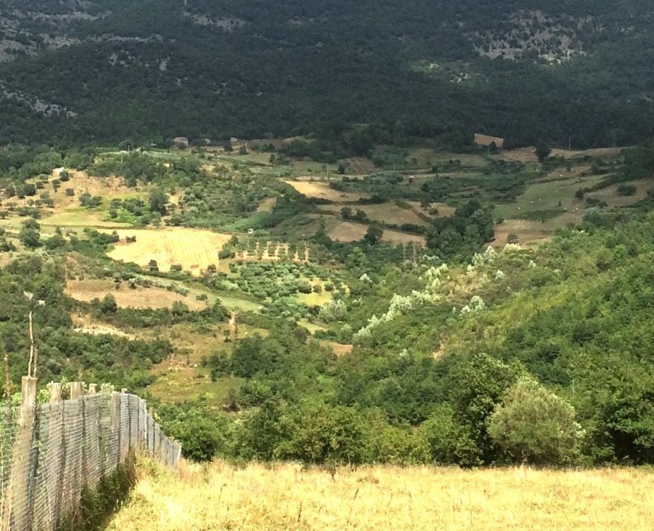 10 giorni di cilento interno comunità tecnologia valore