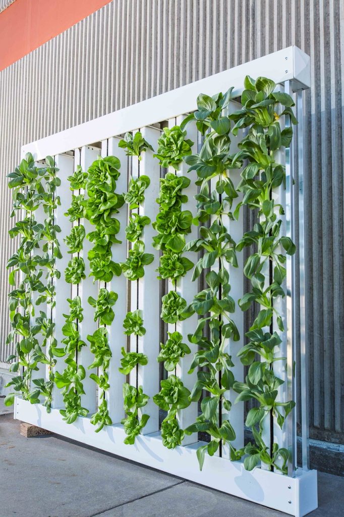 vertical farm 916337 1280 Italian Food Design: ampliare lo sguardo sul cibo