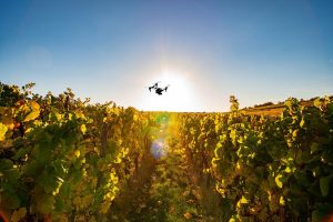 Progetto GREASE - drone